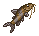 Сом
