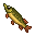 Щука